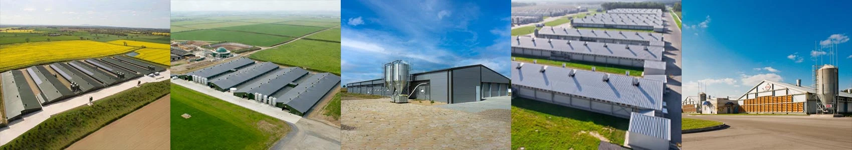 steel pig house steel pig house