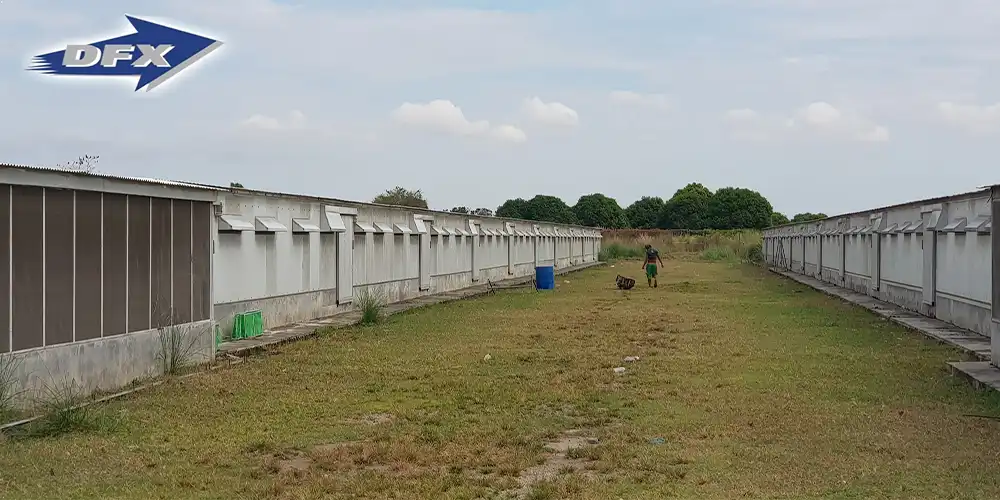Steel poultry house cost and design plans Steel poultry house cost and design plans