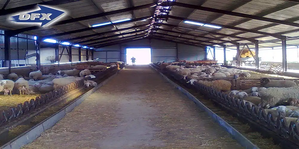 sheep steel sheds 
