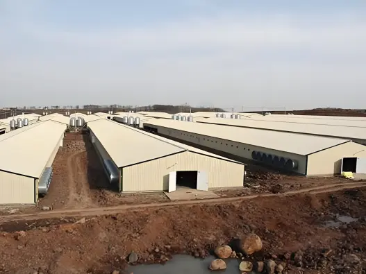 Benefits of Steel Chicken Poultry Hangar in Climate-Controlled Farming
