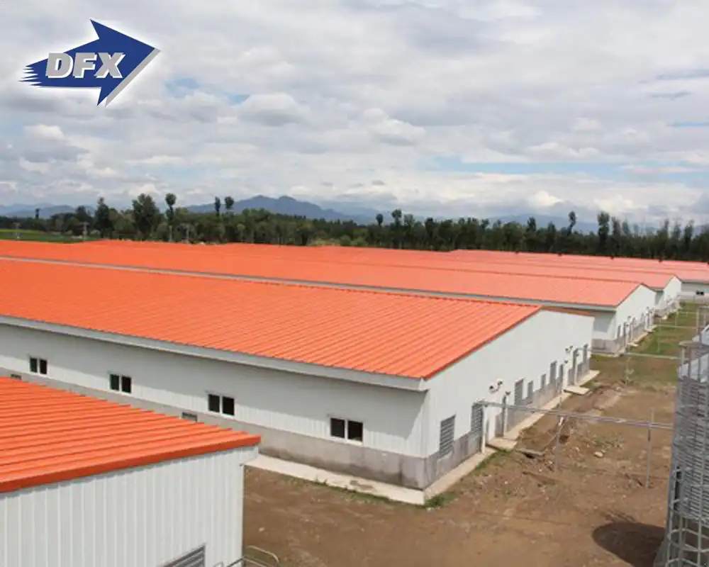 Steel Pig House Ventilation: A Practical Guide for Farmers